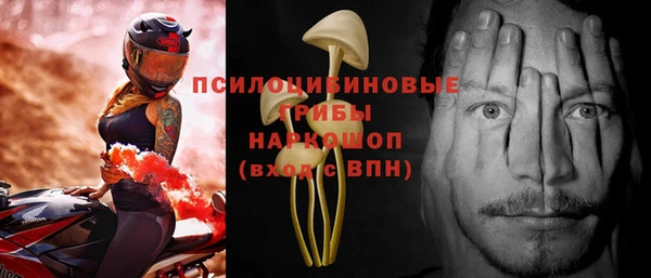 ПСИЛОЦИБИНОВЫЕ ГРИБЫ Алексин