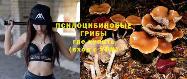 мефедрон Алексеевка