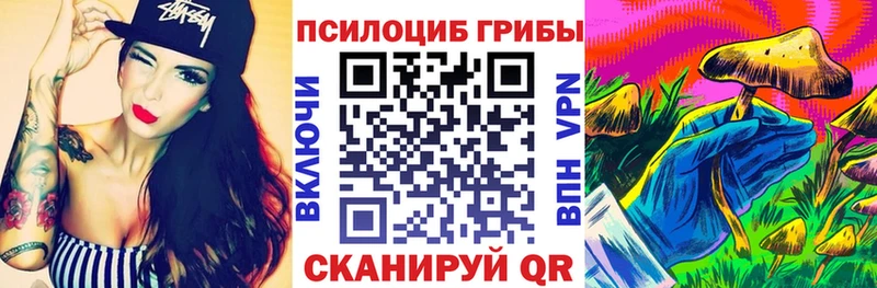 Галлюциногенные грибы Cubensis  магазин продажи   Нижний Новгород 
